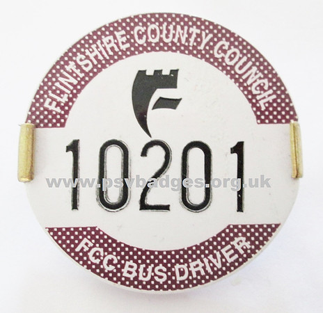 Flintshire County Council Bus Driver