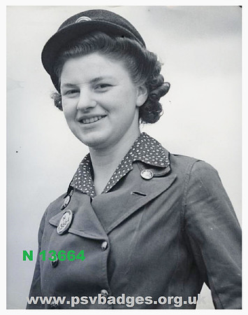 N 13664
