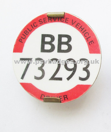 BB 73293 Luminous style - Fine print.