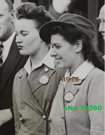 T 8916 Tram/Trolleybus Conductor and nNd 72360 (No Deposit badge) See the next picture for nNd 72361